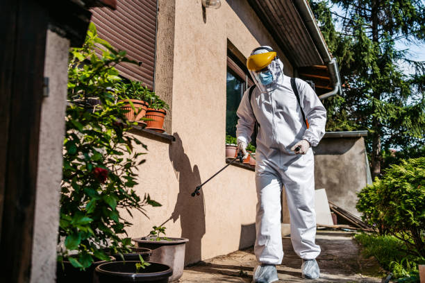 Best Pest Control for Restaurants  in Grand Prairie, TX