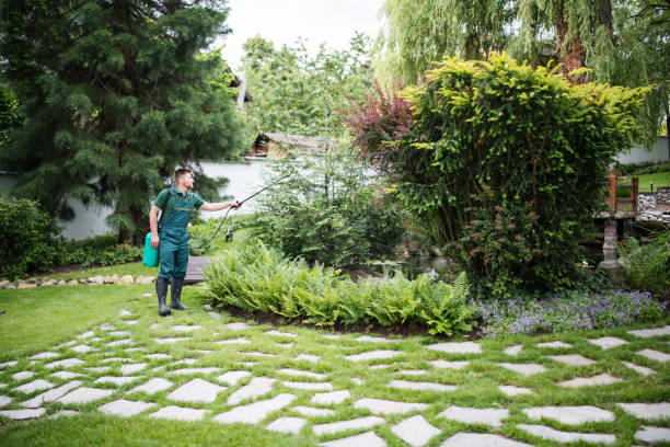 Professional Pest Control in Grand Prairie, TX