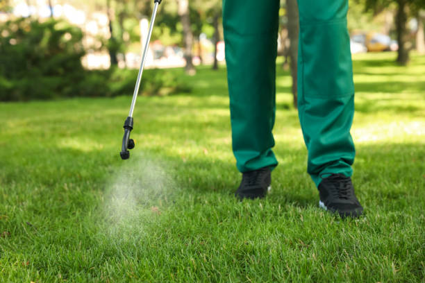Best Termite Control Services  in Grand Prairie, TX
